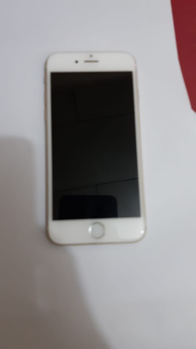 Lakukan Tindak Pidana Curat, Seorang Pria di Kota Tembilahan Diamankan Polisi